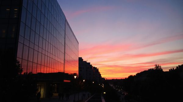 Comment un consultant SEO à Rennes propulse votre stratégie digitale
